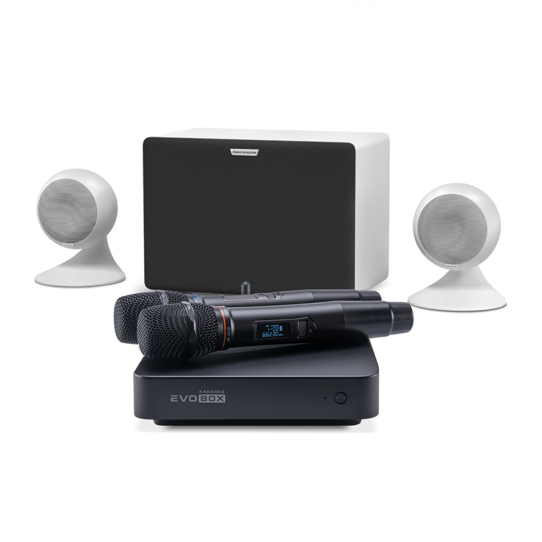 караоке-комплект EVOBOX Classic + EvoSound Sphere 2.1 в Котласе