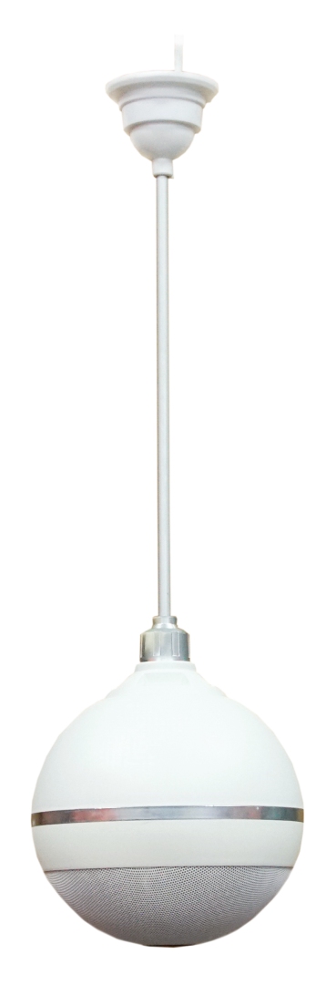 SVS Audiotechnik BWS-603 Громкоговоритель подвесной потолочный в Котласе