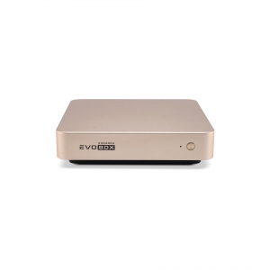 EVOBOX с микрофонами в Котласе